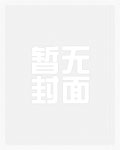 罗峰罗天言情小说